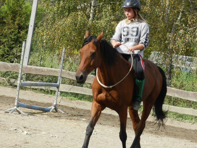 Babie Lato 2016
